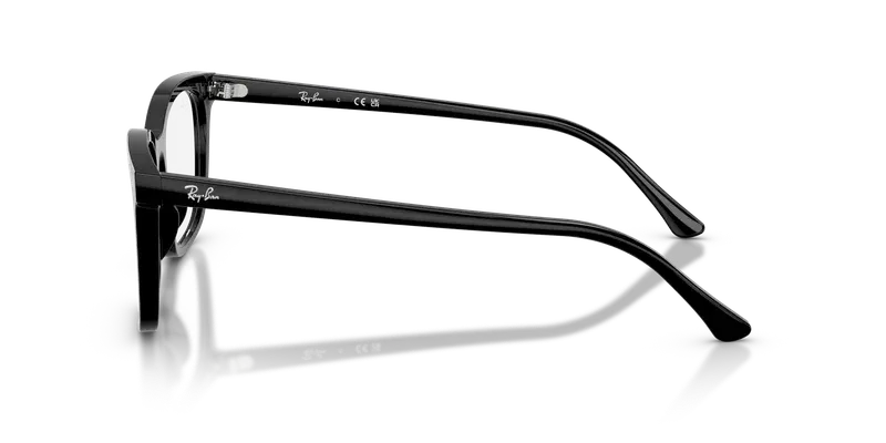 Ray-Ban RX5446
