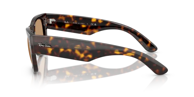 Ray-Ban RB0840S