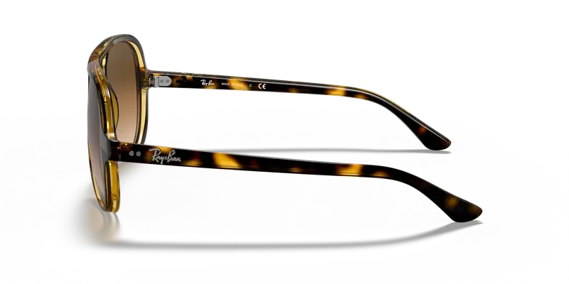 Ray-Ban RB4125