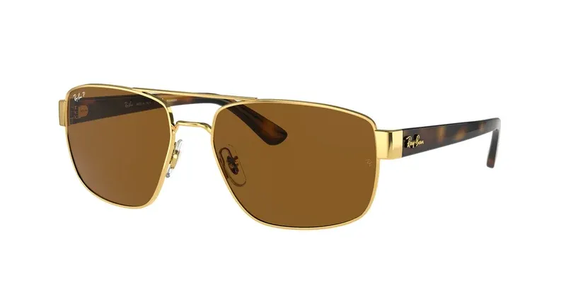 Ray-Ban RB3663