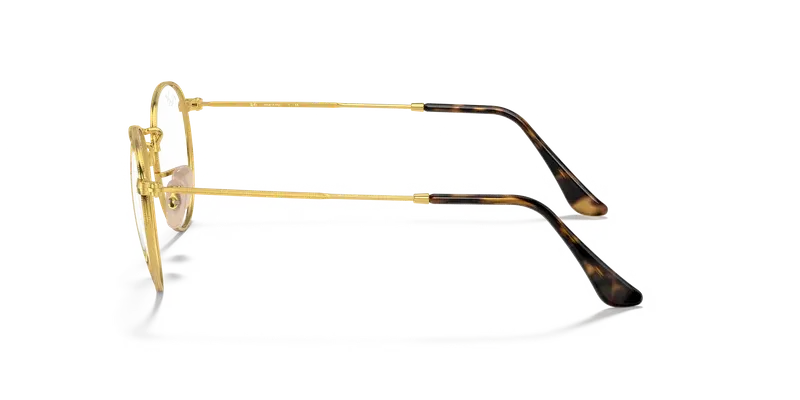 Ray-Ban RX3447V