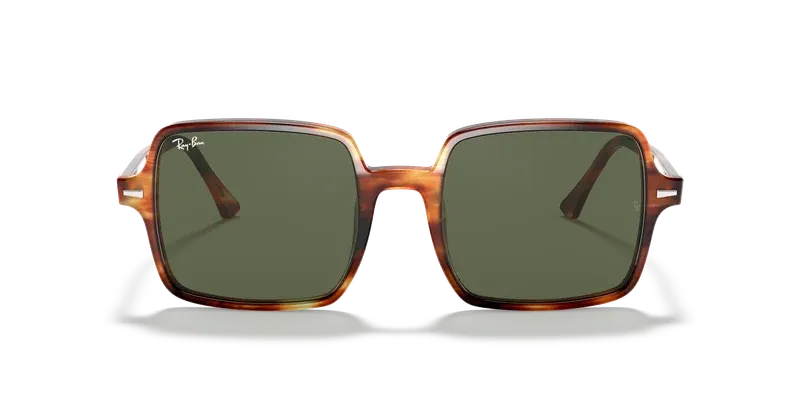 Ray-Ban RB1973 coloris 954/31, lunettes de soleil, vue de face