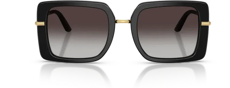 Dolce & Gabbana DG4491