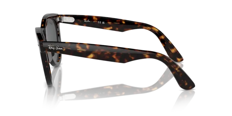Ray-Ban RB2241