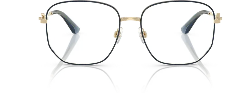 Dolce & Gabbana DG1356