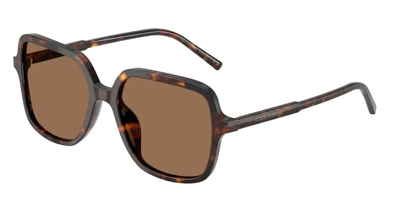 Dolce & Gabbana DG4539