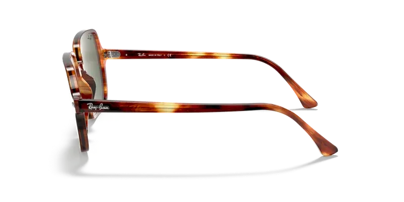 Ray-Ban RB1973
