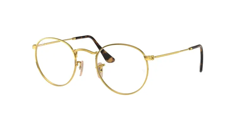 Ray-Ban RX3447V