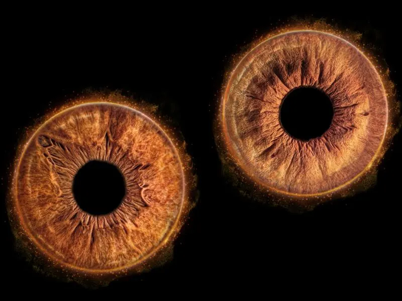 Deux iris bruns entourés d'un halo doré