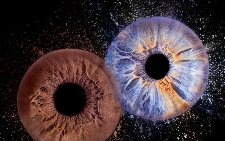 La photographie de l'iris, expliquée