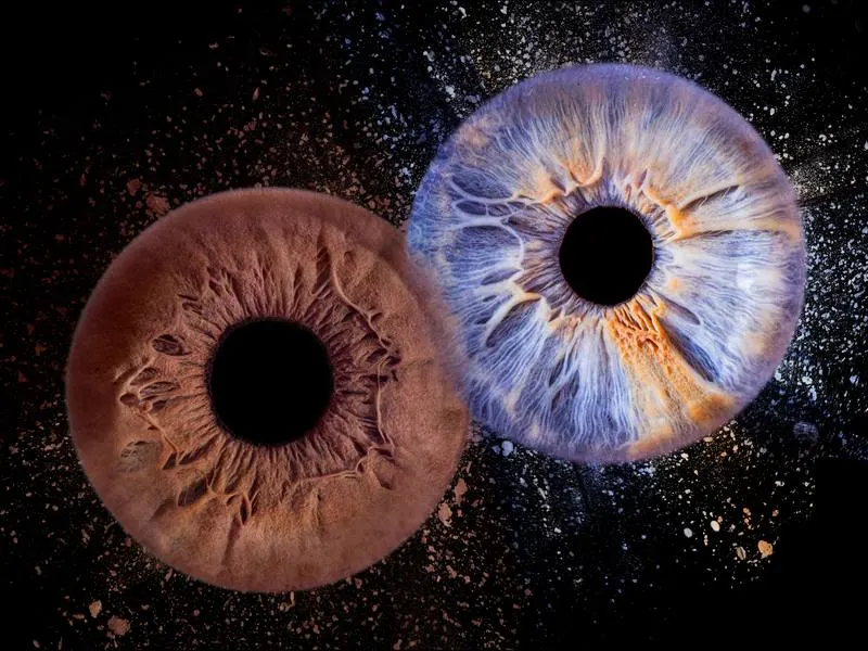 Composition de deux iris, un brun et un bleu, sur fond noir