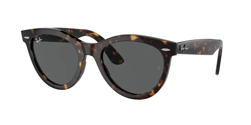 Ray-Ban RB2241
