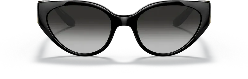 Dolce & Gabbana DG6146