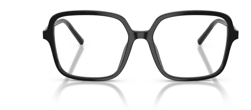Dolce & Gabbana DG3442
