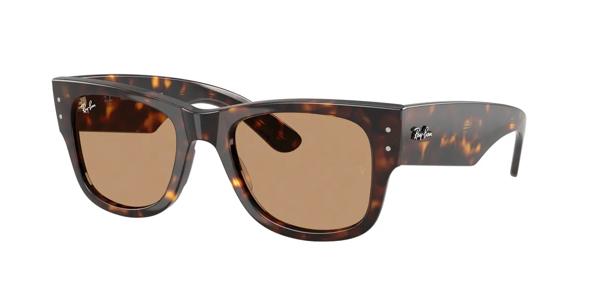 Ray-Ban RB0840S