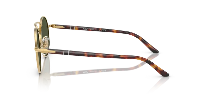 Persol PO1019S