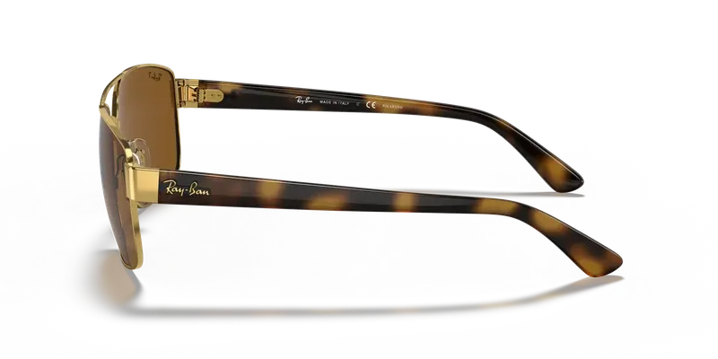 Ray-Ban RB3663